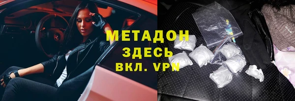 прущие грибы Абаза