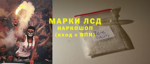 прущие грибы Абаза