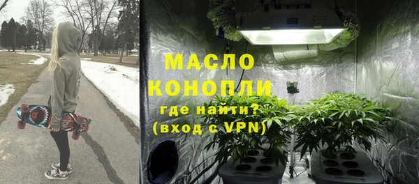 прущие грибы Абаза