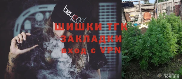 прущие грибы Абаза