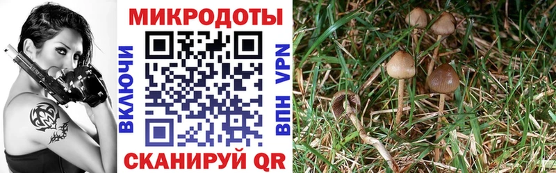 Галлюциногенные грибы мухоморы  где можно купить наркотик  Никольск 