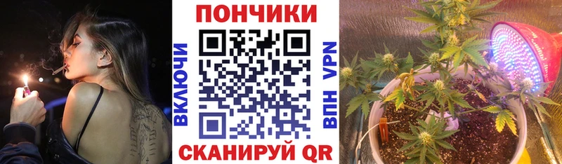 Конопля Amnesia  как найти наркотики  Никольск 
